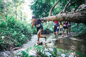 BIB: 
                            <button type="button" onclick="openModal(25435791)" class="btn btn-primary btn-sm float-right btn-popup" data-toggle="modal" data-target=".modal-high-quality">
                        <i class="fas fa-shopping-cart"></i> Add to Cart
                    </button>
                                            <button type="button" onclick="isThisMe(25435791, true)" class="btn btn-success btn-sm float-right btn-popup btn-isme hidden" data-toggle="tooltip" data-placement="bottom" title="นี่คือรูปของคุณใช่ไหม คลิกที่นี่เพื่อเอาเข้าอัลบั้ม">
                        <i class="fas fa-plus"></i> Add to album
                    </button>
                    <button type="button" onclick="isThisMe(25435791, false)" class="btn btn-warning btn-sm float-right btn-popup btn-isnotme hidden">
                        <i class="fas fa-ban"></i> Remove from album
                    </button>